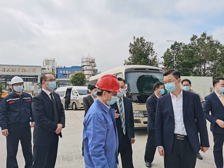 庄悦群副书记一行莅临DX德信·(中国)集团树脂公司检查(2)_副本.jpg